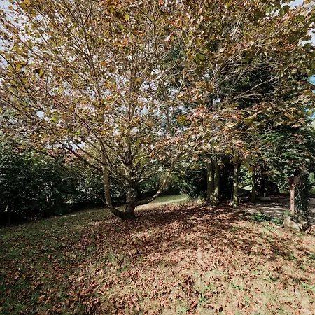 公寓 Casa Materi 波彭豪森